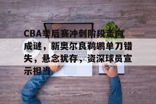 CBA季后赛冲刺阶段走向成谜，新奥尔良鹈鹕单刀错失，悬念犹存，资深球员宣示担当的简单介绍-爱游戏智能体验